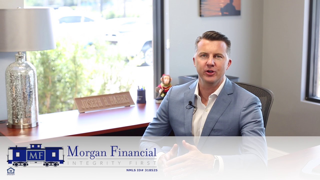 What is a portfolio loan?