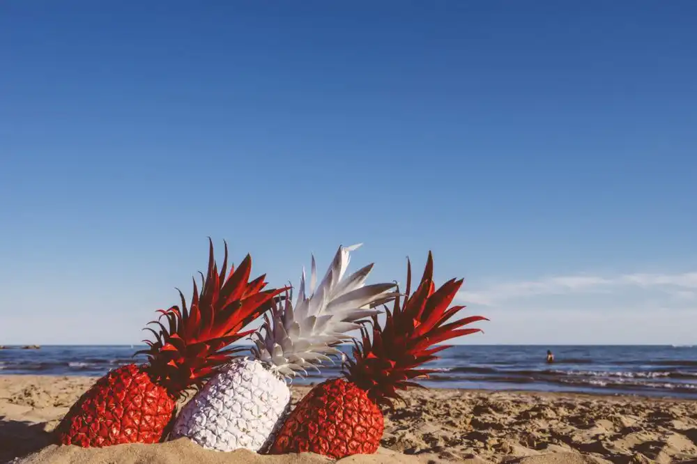 beach-blue-sky-fruits-139257